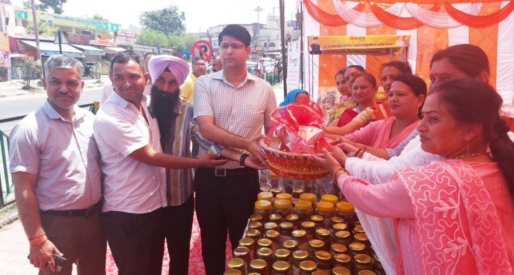 सोमभद्रा ब्रांड के कारण हो रही है स्वयं सहायता समूहों से जुड़ी महिलाओं की आय में बढ़ोत्तरी: डीसी