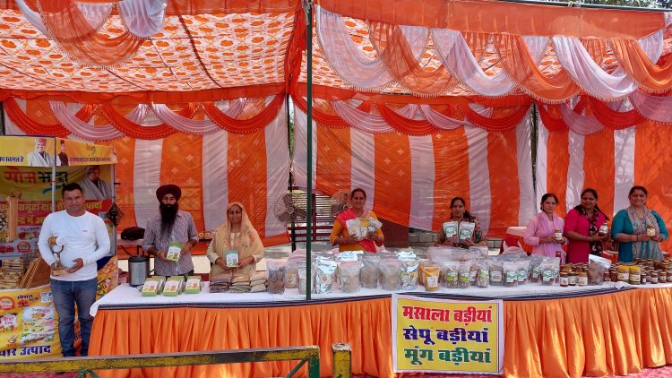 बांस का टूथब्रश, लैंपशेड, फूलदान व अन्य सजावटी सामग्री बनी ऊना की पंसद