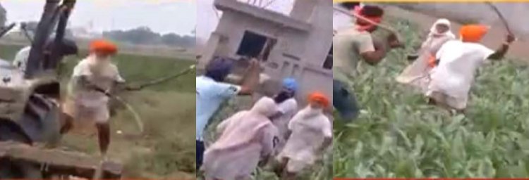 पंजाबः बिजली के खंभा हटाने को लेकर दो गुटों में विवाद, चली तलवारें और गोलियां, दो घायल