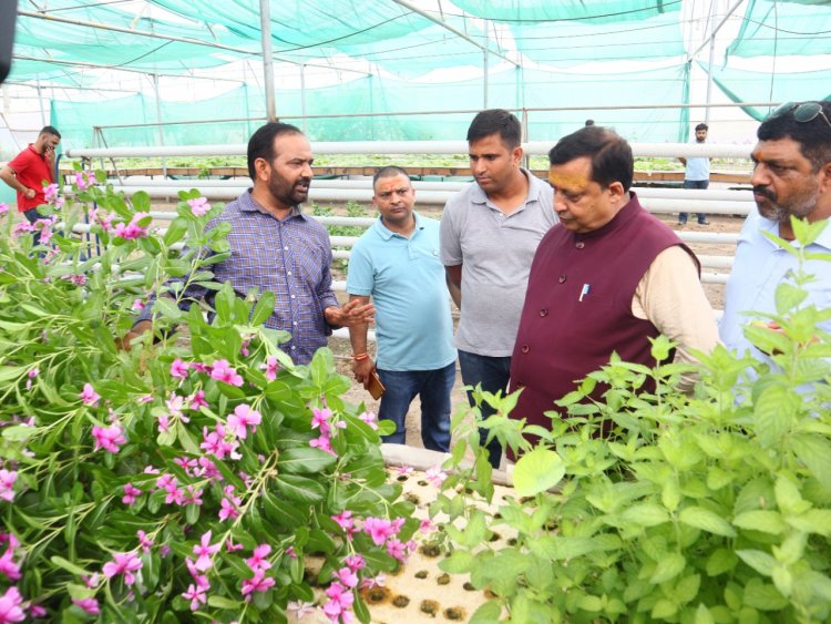 हाइड्रोपोनिक तकनीक को व्यवसायिक खेती के रूप में प्रयोग करने को प्रयासरत सरकारः कंवर