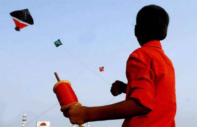 पतंगबाजी पर प्रतिबंध लगाने को लेकर होईकोर्ट का आया फैसला, जानें क्या कहा