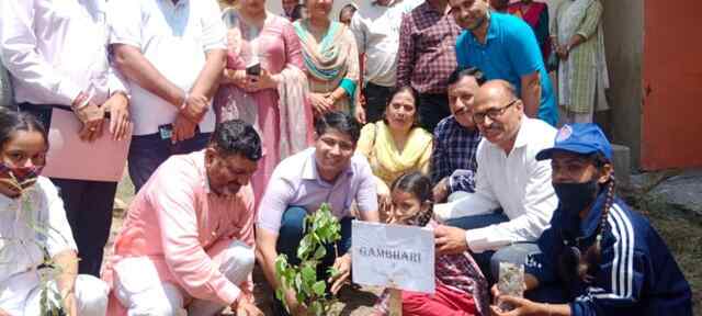 उपायुक्त ने राजकीय आदर्श वरिष्ठ माध्यमिक विद्यालय थानाकलां में किया पौधा रोपण