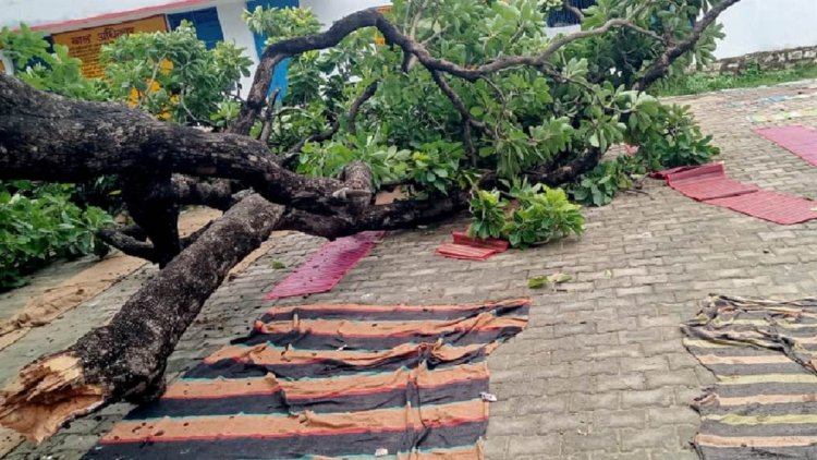 स्कूल में बड़ा हादसा, पेड़ गिरने से एक दर्जन बच्चे दबे…