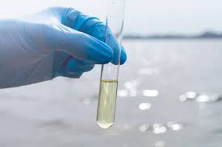 जालंधरः स्वास्थ्य विभाग ने इन सरकारी स्कूलों से लिए पानी के सैंपल, 16 में से 11 के टेस्ट फेल