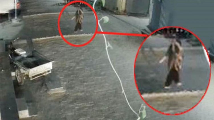 पति को बेहोश कर लुटेरी दुल्हन प्रेमी संग हुई फरार, वारदात CCTV में कैद…