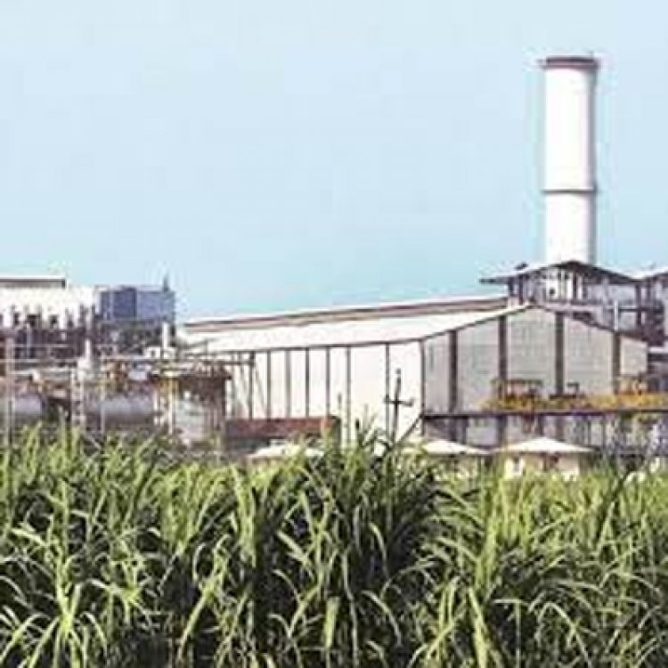 फगवाड़ा: Gold Gym के बाद Golden Sandhar Sugar Mill की जायदाद कुर्क