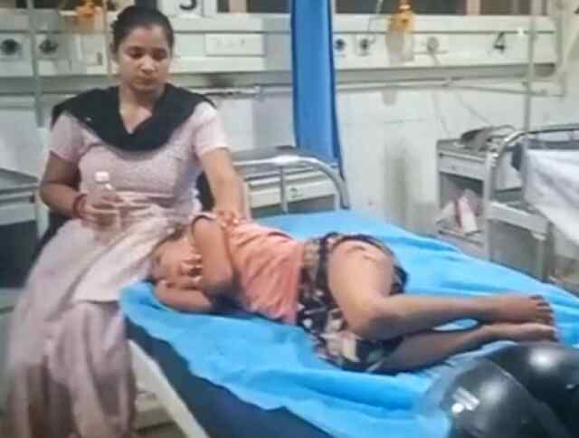 जालंधर: पिटबुल ने 9 वर्षीय बच्ची को बुरी तरह नोचा, घायल