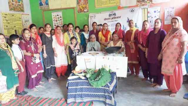 ग्राम पंचायत बसोली में लगाया जागरूकता शिवर