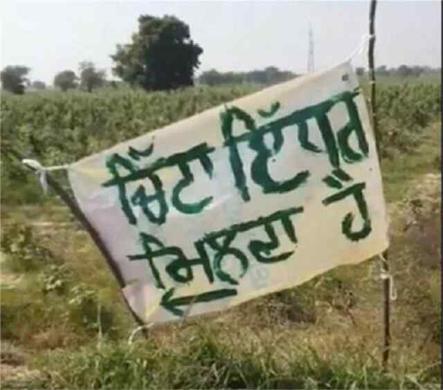 पंजाबः वायरल तस्वीर ने सरकार पर खड़ें किए सवाल, लिखा- “चिट्ठा इधर मिलता है”