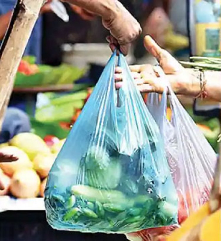 पंजाबः सिंगल यूज प्लास्टिक को लेकर एक्शन में सरकार, इस्तेमाल और बेचने वालों पर लगेगा इतना जुर्माना