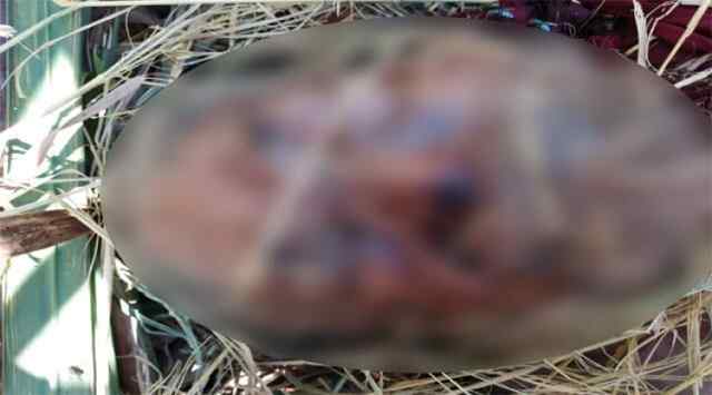 पंजाब: खेत से 60 वर्षीय अज्ञात बुजुर्ग का शव बरामद
