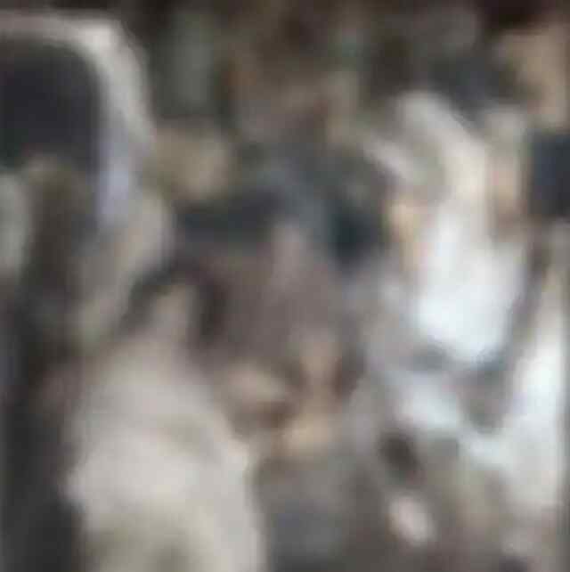 दिल दहलाने वाला मामलाः अस्पताल की छत पर मिली 200 लाशें