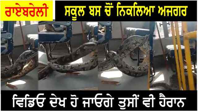 स्कूल बस में निकला अजगर सांप, वीडियो देख हो जाएंगे हैरान