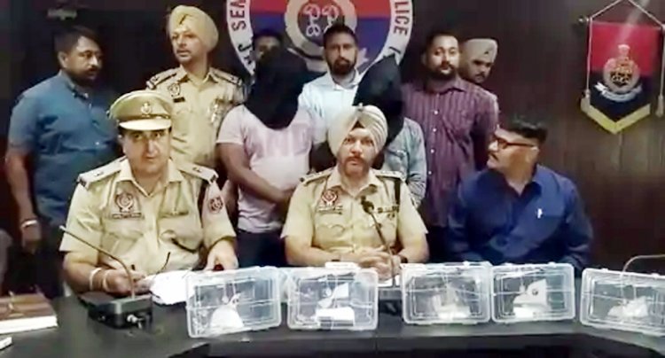 जालंधरः 5 पिस्तौल, 10 मैगजीन और 10 जिंदा रौंद सहित दो काबू
