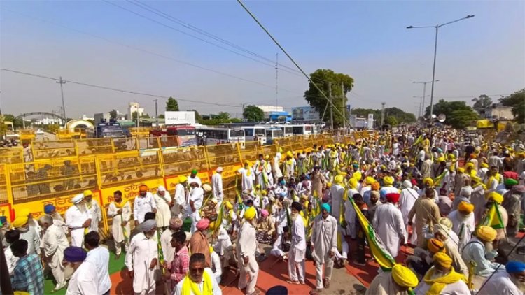 पंजाबः संगरूर में किसानों पर तेजधार हथियारों ने युवक ने किया हमला