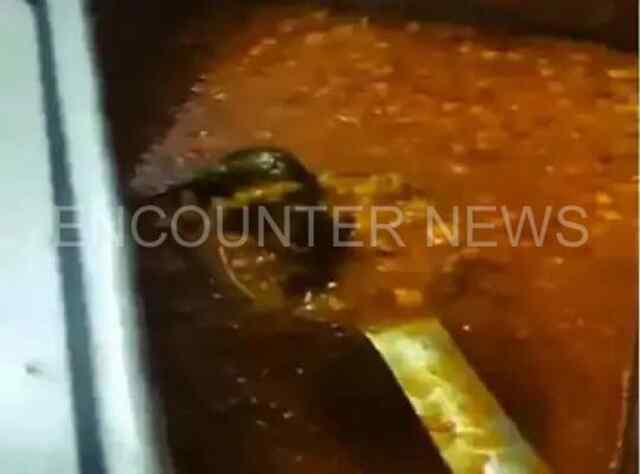 चंडीगढ़ यूनिवर्सिटी के ब्वॉय हॉस्टल में दाल में निकला मरा चूहा, वीडियो वायरल