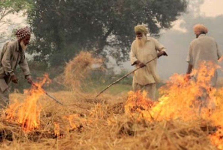 पंजाब की पराली को लेकर इस राज्य के बीच हुआ समझौता