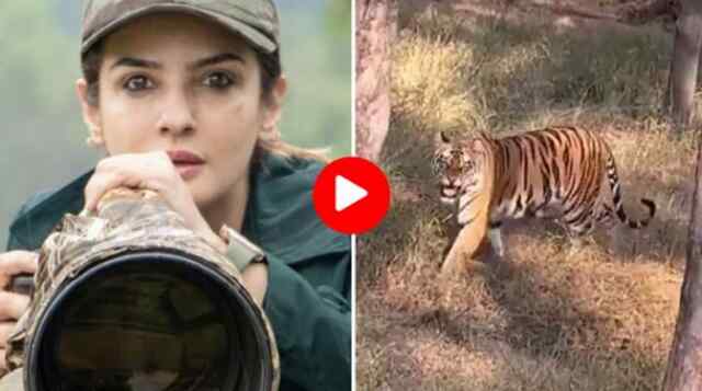 विवादों में फंसी बॉलीवुड एक्ट्रेस रवीना टंडन, देखें वीडियो