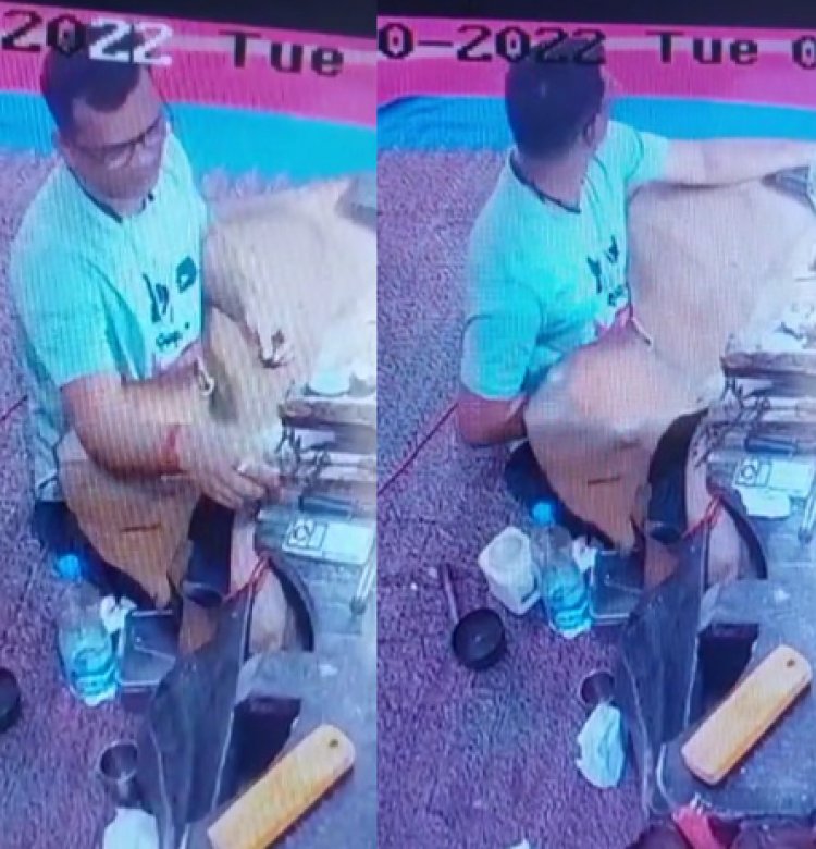 पंजाबः ज्वेलर शॉप का कारीगर ही बना चोर, सोना चुराकर हुआ फरार, देखें CCTV