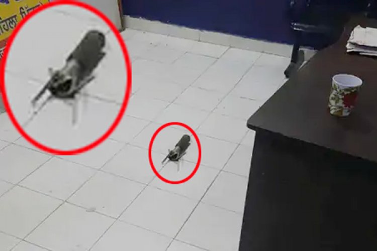 पंजाबः थाने पर रॉकेट लॉन्चर से हमले की इस आतंकी ने ली जिम्मेदारी, देखें वीडियो