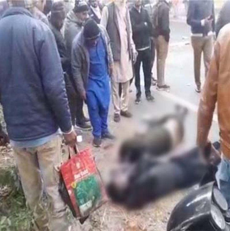 पंजाबः बस और बाइक की भयानक टक्कर, हादसे में 2 की मौत