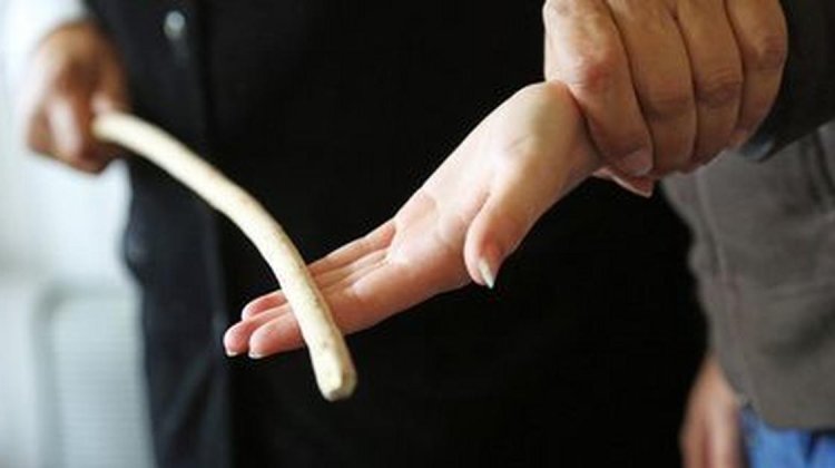 पैरेट के स्पेलिंग न बताने पर टीचर ने दी मासूम को ऐसी सजा, जानें पूरा मामला