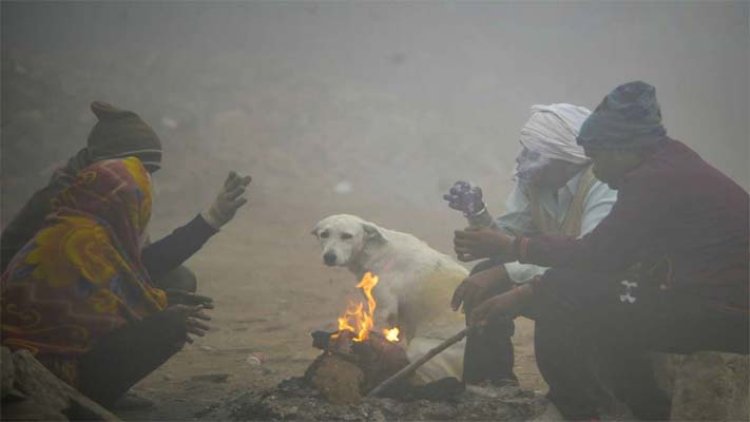 पंजाबः ठंड का कहर जारी, जानें कब होगी जालंधर सहित इन जिलों में बारिश