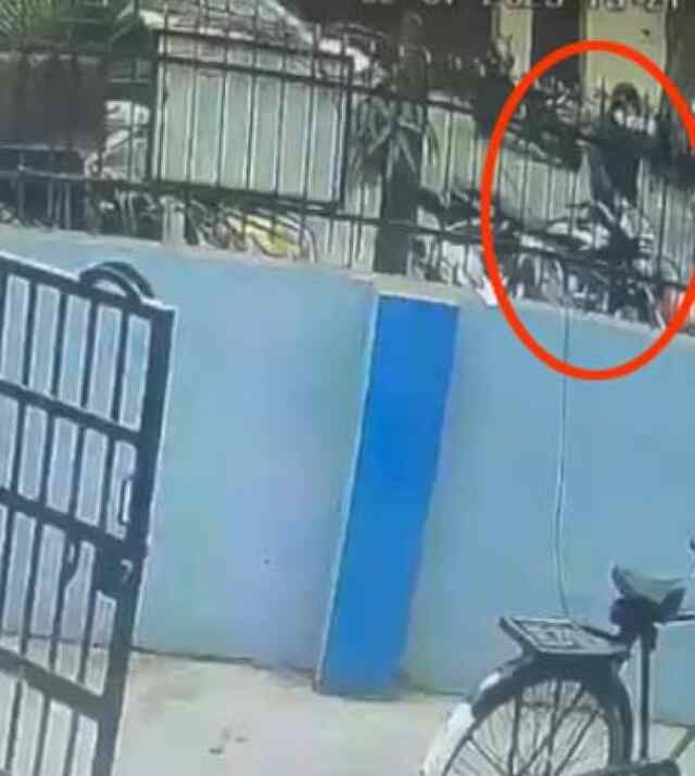 जालंधरः SBI बैंक के बाहर से बाइक ले फरार हुआ चोर, देखें CCTV