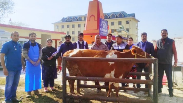 खड्ड में पशु चिकित्सा शिविर आयोजित