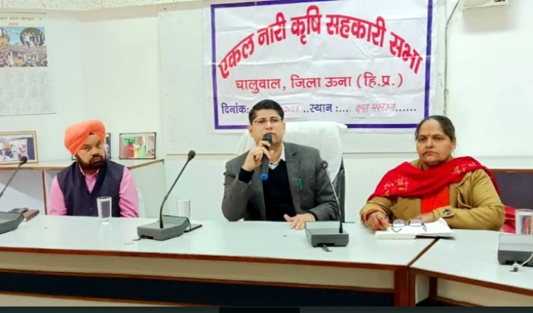 प्राथमिकता के आधार पर एकल नारी महिलाओं की समस्याओं का किया जाएगा हल: डीसी 
