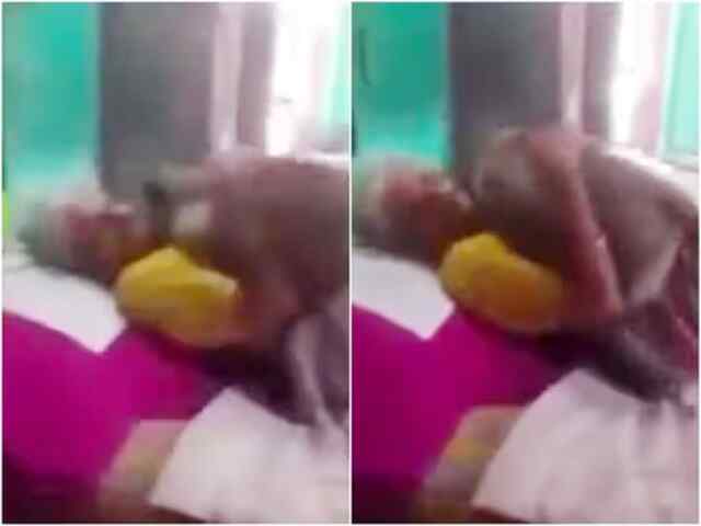 बुजुर्ग महिला रोज लंगूर को देती थी खाना, जब बीमार पड़ी तो… देखें भावुक करने वाली वीडियो
