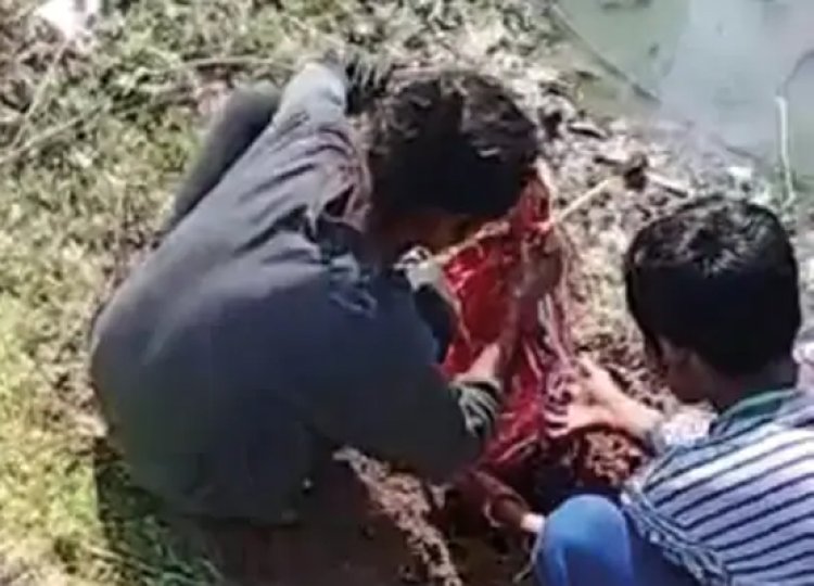 इंसानियत शर्मसार! 3 दिन की जिंदा बच्ची को मां ने किया दफन 