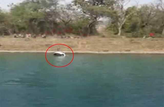 पंजाबः नहर में कार गिरने से परिवार के 3 लोग डूबे, तालाश जारी