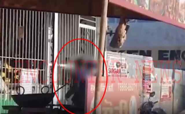 पंजाबः सरेआम स्कूली बच्चों को बेची जा रही शराब, वीडियो वायरल
