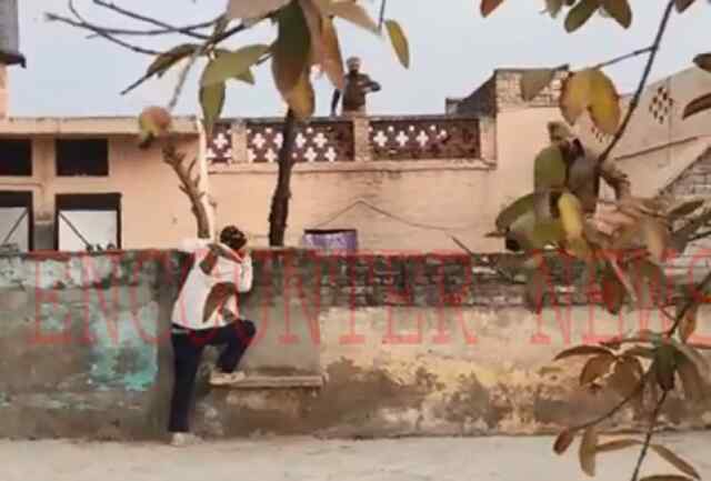 दसूहाः पुलिस ने मारा छापा, डर के मारे मुर्गों के खुड्डों में घुसे तस्कर, देखें वीडियो