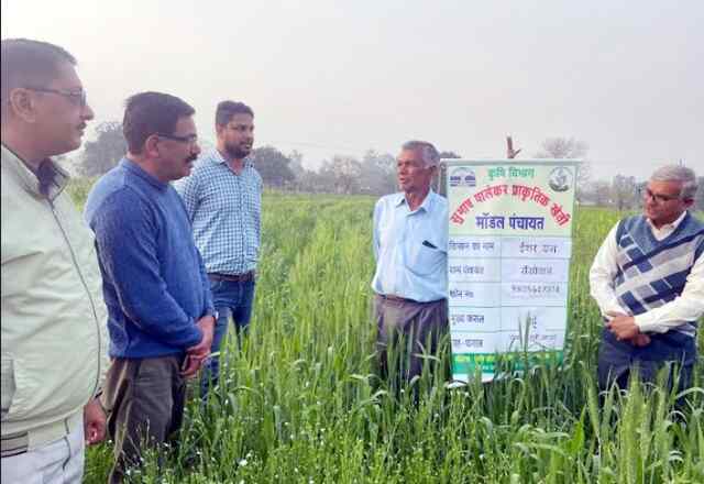 ऊना में चल रही प्राकृतिक खेती की गतिविधियों सलाहकार ने जायज़ा लिया