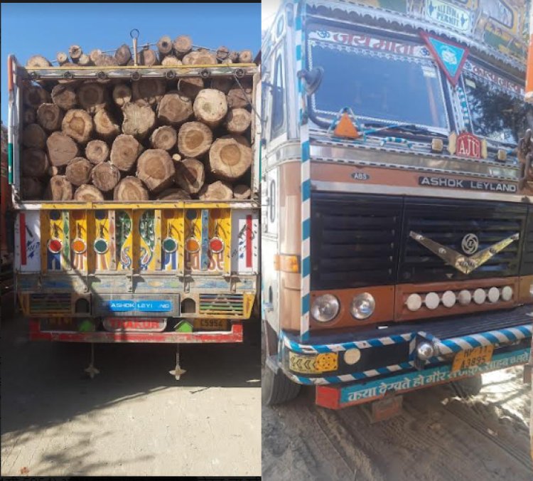 प्रतिबंधित प्रजाति के पेड़ों की लकड़ी से लदे वाहन वन विभाग ने पकड़े