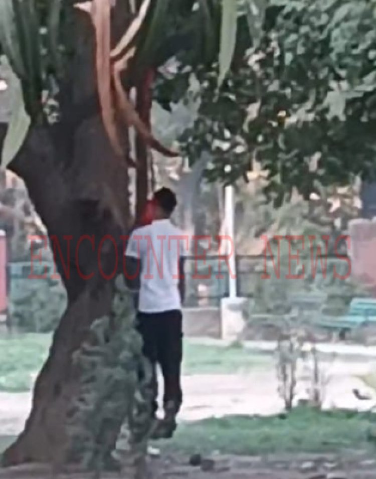 पेड़ से लटकता मिला युवक का शव, मचा हड़कंप