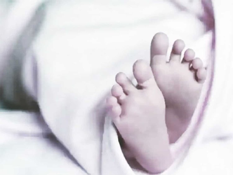 20 कुत्तों के झुंड ने नोच खाई ढाई साल की बच्ची, मौत
