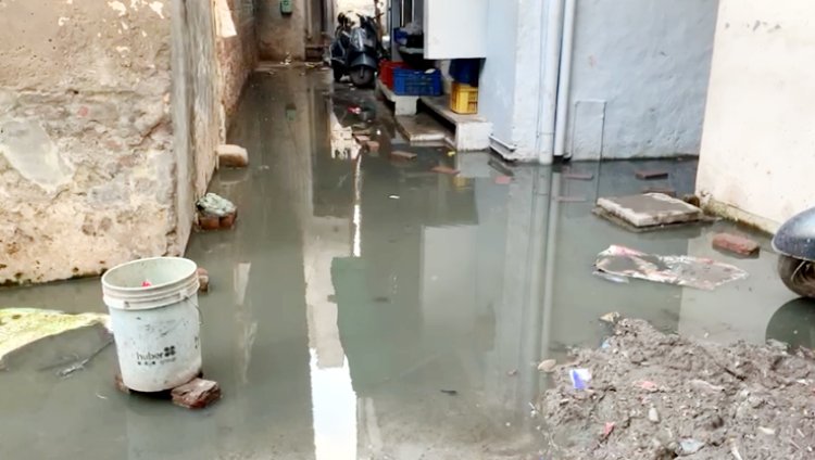 जालंधरः सीवरेज समस्या से तंग आकर कॉर्पोरेशन और सरकार का किया विरोध, देखें वीडियो