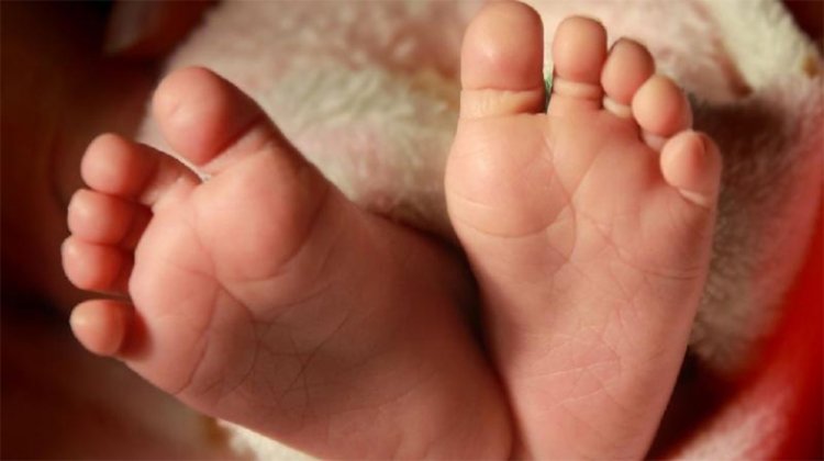 पंजाबः इंसानियत शर्मसार! कूड़े के ढेर में नवजात बच्ची का शव बरामद