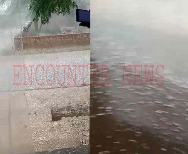 पंजाबः इस इलाके में तेज बारिश के साथ पड़े ओले, देखें वीडियो