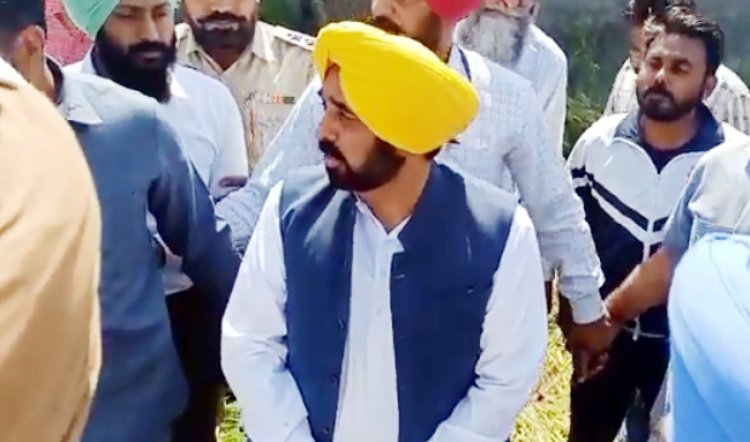 पंजाब : खराब फसलों का जायजा लेने पहुंचे सीएम मान, देखें वीडियो 
