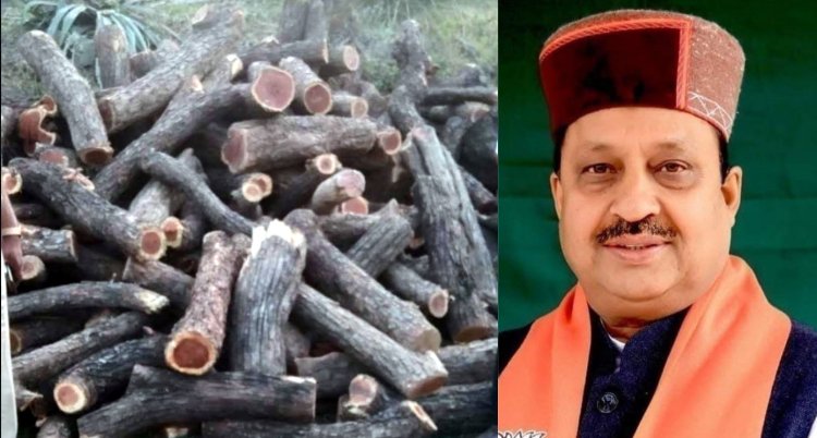 कुटलैहड़ में अवैध कटान की जांच विजिलेंस से हो- कंवर