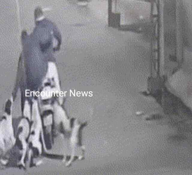 जालंधर में आवारा कुत्तों का आतंक : एक्टिवा सवार बुजुर्ग की बाजू और टांग नोची