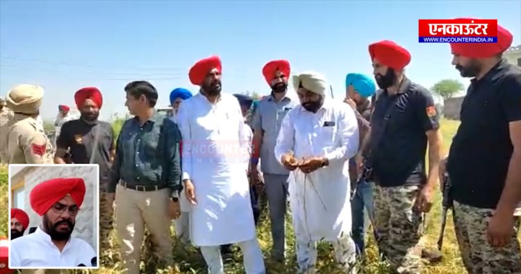 ਪੰਜਾਬ : ਖਰਾਬ ਹੋਈ ਫਸਲਾਂ ਦੀ ਗਿਰਦਾਵਰੀ ਪ੍ਰੀਕ੍ਰਿਆ ਦਾ ਜਾਇਜ਼ਾ ਲੈਣ ਪੁਹੰਚੇ ਕੁਲਦੀਪ ਸਿੰਘ ਧਾਲੀਵਾਲ, ਦੇਖੋ ਵੀਡਿਓ
