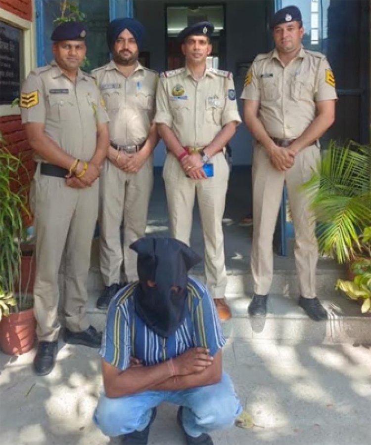 भैंस चोरी मामले में विदेश भाग रहा वांछित आरोपी गिरफ्तार