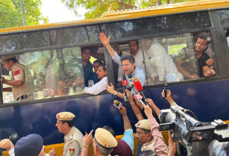 दिल्ली पुलिस ने राघव चड्ढा सहित 32 विधायक और 72 पार्षदों को लिया हिरासत में, देखें वीडियो
