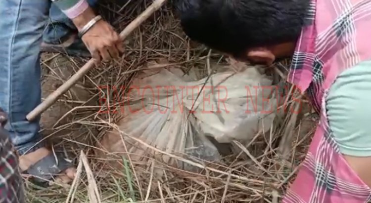 पंजाबः ब्यास दरिया में बने गड्ढे से हजारों लीटर अवैध शराब बरामद, सर्च आप्रेशन जारी, देखें वीडियो