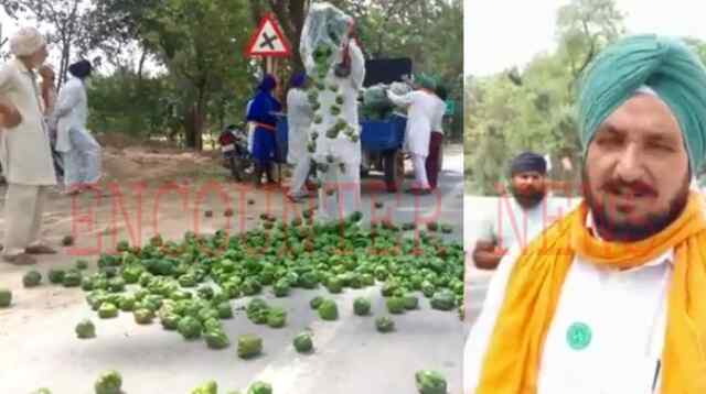 पंजाबः नाराज किसानों ने सड़कों पर फेंकी शिमला मिर्च, देखें वीडियो